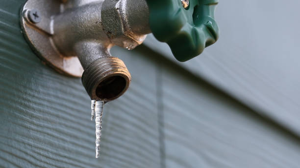 Best Leak Detection Services  in Millersville, TN